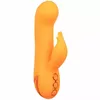 Vibrator CALEXOTICS Montecito Muse Photo 3