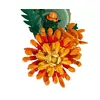 LEGO Botanical Collection Chrysanthemum 10368 Photo 3