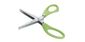 Virtuves šķēres Tescoma 888220 — garšaugu šķēres 210 mm, 5 nerūsējošā tērauda asmeņi, zaļa roktura