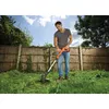 String trimmer Black & Decker ST182320-QW Photo 3