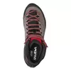 Salewa MTN Trainer Mid GTX Мужские Photo 2