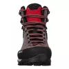 Salewa MTN Trainer Mid GTX Мужские Photo 6
