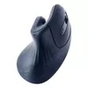 GEMBIRD MUSW-ERGO-03 беспроводная оптическая мышь Photo 6