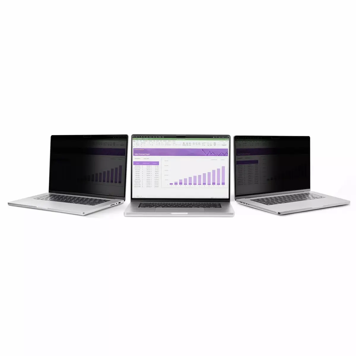 Privātuma ekrāna filtrs StarTech.com 15.6" 16:10 Photo 2
