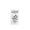 Eau De Toilette LOEWE Perfumes Agua de Mar de Coral Classic Photo 3