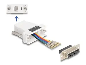 DELOCK cable gender changer D-Sub 15 to RJ12 white, model 67088