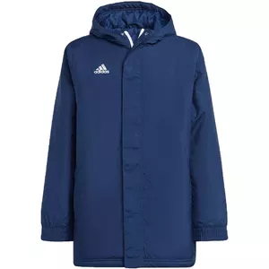 Детская куртка adidas Entrada 22 Stadium Blue IB6079