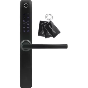 Access control handle Eura ELH-20H4 Black keyless design, model 36790