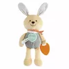 Игрушечный заяц Chicco 00011467000000 Photo 2