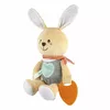 Игрушечный заяц Chicco 00011467000000 Photo 4