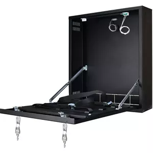 Pulsar AWO529 DVR Enclosure