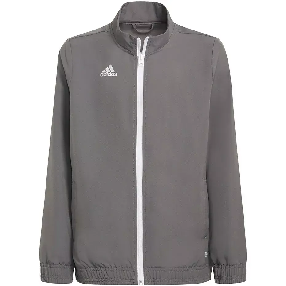 Adidas Entrada 22 Presentation Jacket pelēks