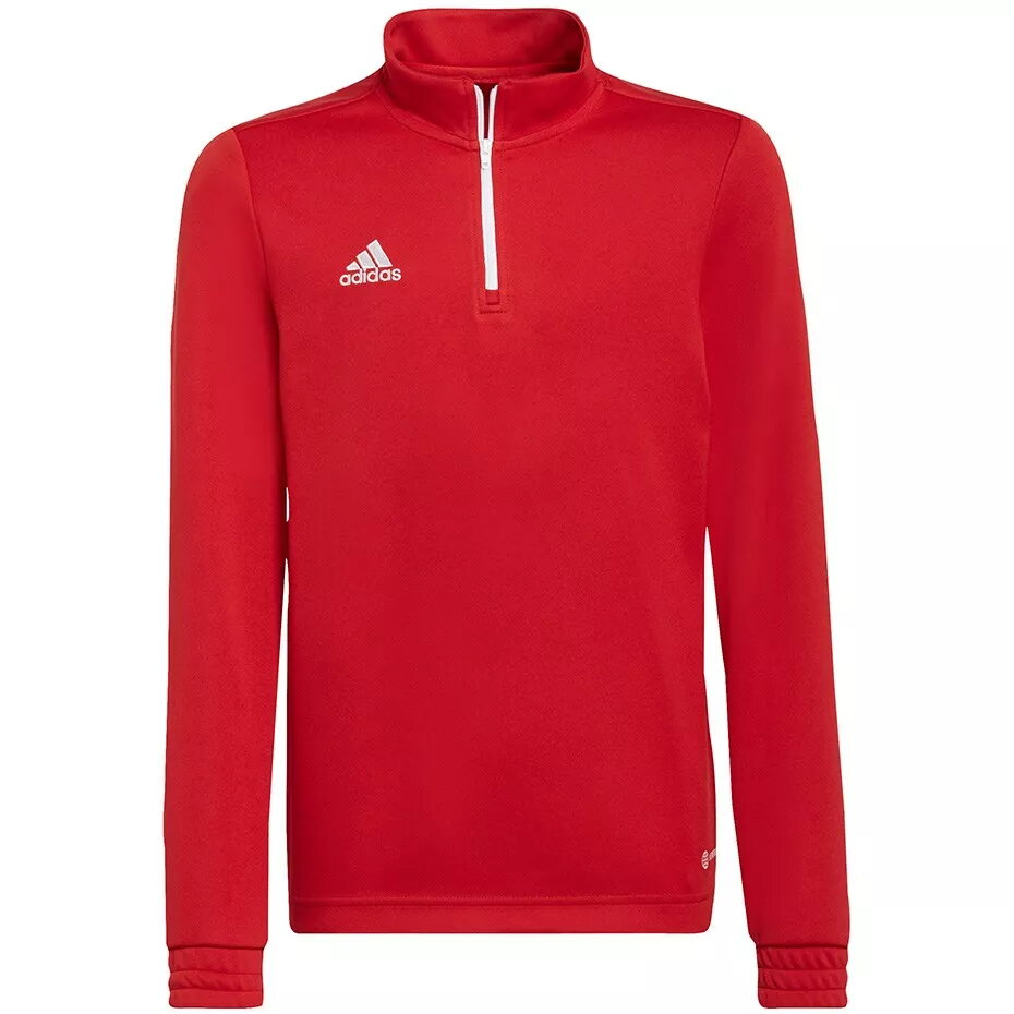 Bērnu džemperis ADIDAS Entrada 22 Tr