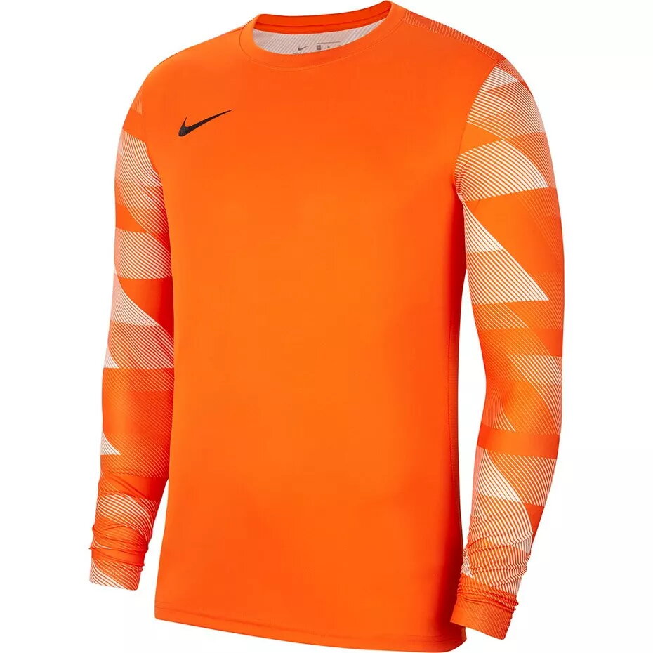 Vīriešu vārtsarga džemperis NIKE Dry Park
