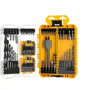 DeWalt set of 100 Pozi screws — fasteners kit, assorted sizes for wood and metal applications