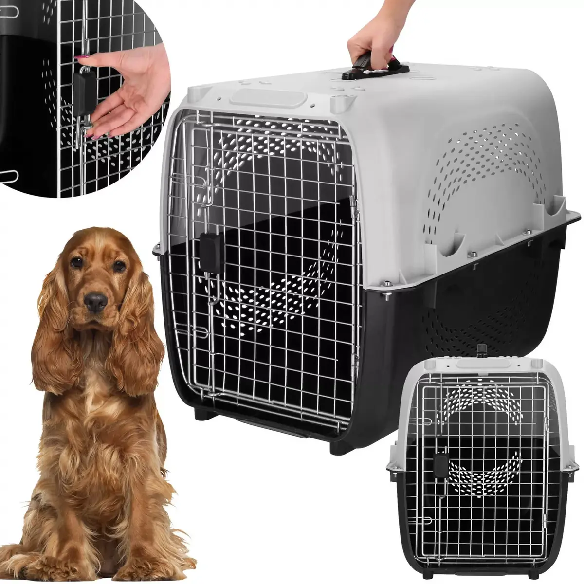 Transport cage Springos PA0328 — 69×47×55 cm, up to 20 kg Photo 5