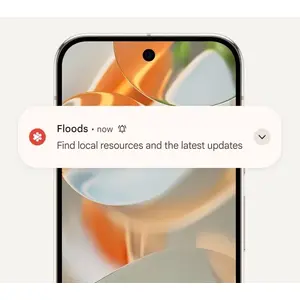 Sends crisis alerts, like for a nearby fire or flood.