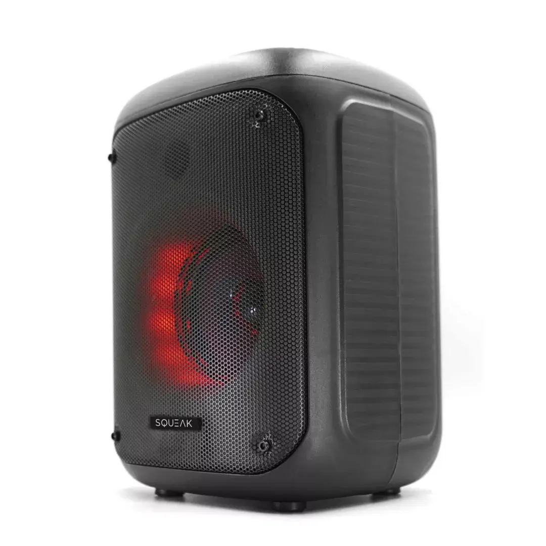 Портативная колонка SQUEAK SQ1005 Photo 3