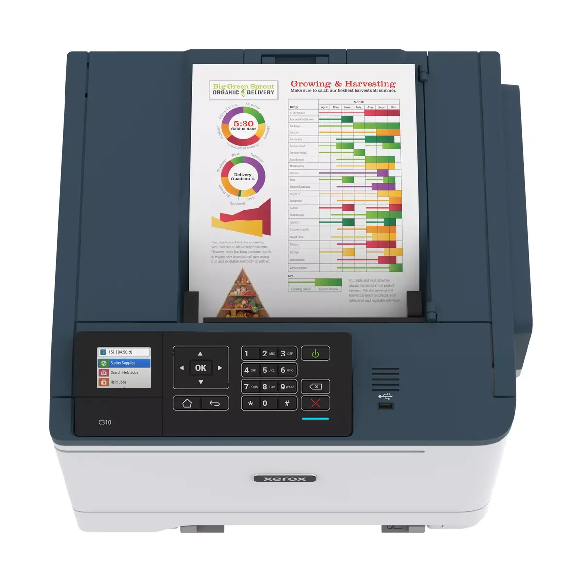 Цветной лазерный принтер Xerox C310 Photo 11