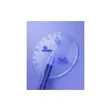 Electric toothbrush OCLEAN Ease Blue OCLEAN Ease Blue Photo 2