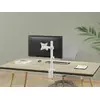 Monitora galda stiprinājums Equip 17"-32" Photo 8