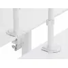 Divu monitoru galda stiprinājums Equip 17"-32" Photo 3