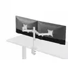 Divu monitoru galda stiprinājums Equip 17"-32" Photo 4