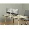 Divu monitoru galda stiprinājums Equip 17"-32" Photo 6