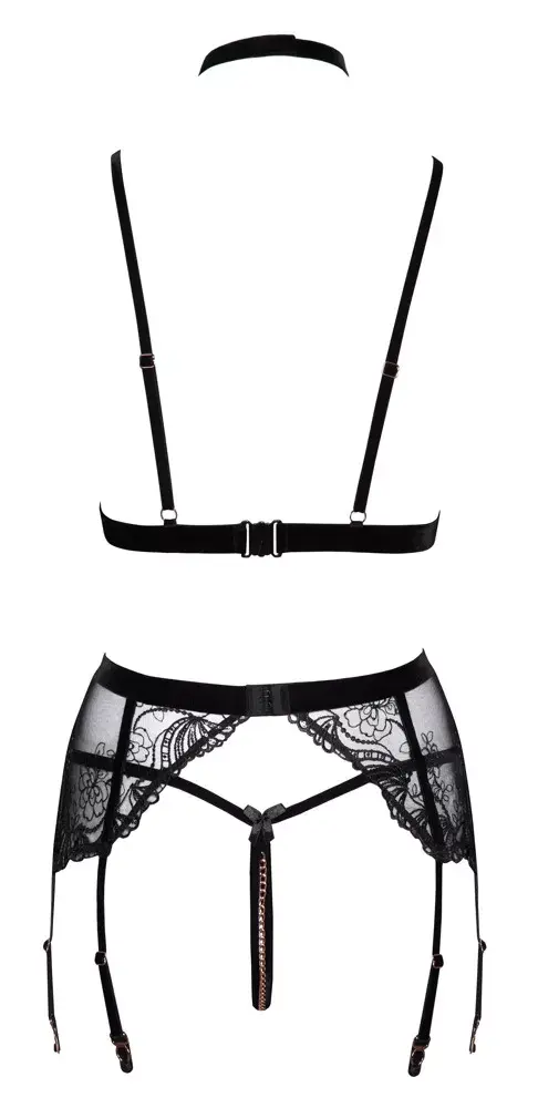 Apakšveļas komplekts abierta fina Bra Suspender Set 22153571051 Photo 9