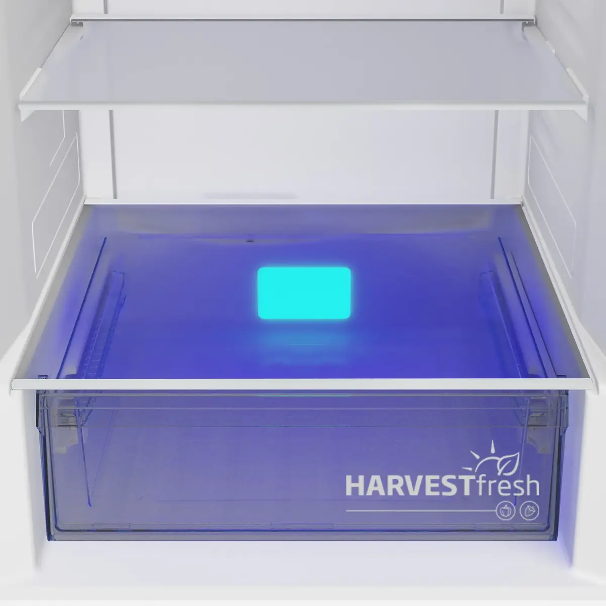 Beko B5RCNA405HG fridge-freezer Photo 3