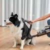 Pet Brush для Jimmy PW11/HW11 B13Q3170003R Photo 3