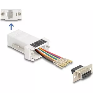 DeLOCK D-Sub 9 pin female to RJ45 female Assembly Kit white VGA RJ-45