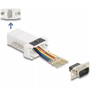 DeLOCK D-Sub 9 pin male to RJ45 female Assembly Kit white VGA RJ-45