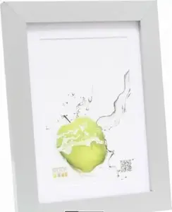 Photo frame Deknudt S66KD1 P1 20x25 wood silver with passepartout