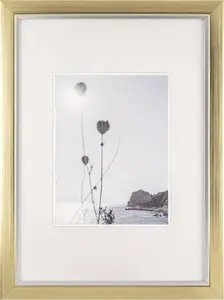 Photo frame Walther Beyond DIN A3 29.7×42 cm resin champagne/gold