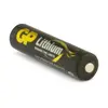 Литиевая батарея GP Batteries AAA одноразовая Photo 2