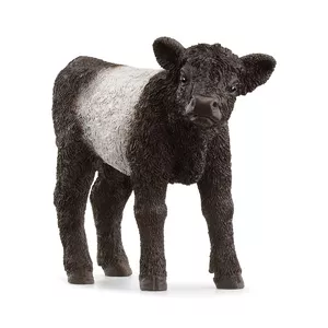 Figure Schleich FARM WORLD Galloway Calf Black White 13969