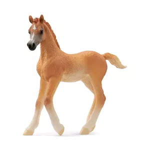 Schleich horse figurine Arabian Foal model 13984, brown, recommended age 5+
