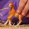 Schleich horse Arabian Foal model 13984 Photo 2