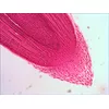 Предметный слайд Levenhuk N18 NG 150 мм Photo 6
