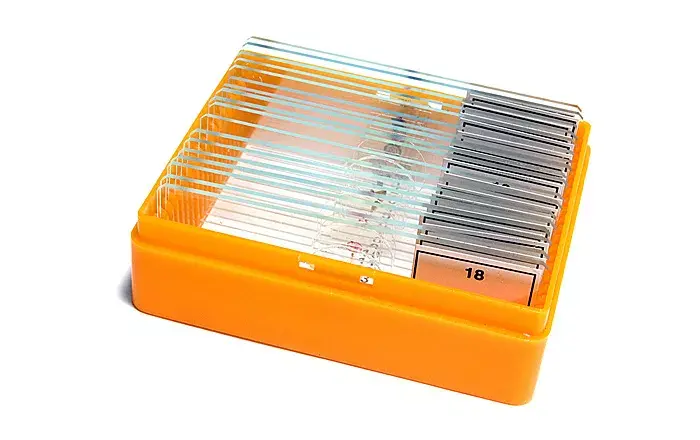 Предметный слайд Levenhuk N18 NG 150 мм Photo 11