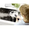 Pressure Cooker Fissler Vitavit Premium 4.5 L Photo 6