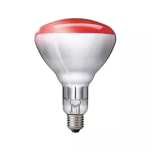 Инфракрасная лампа Philips 923212043801 250 Вт 5000 ч 230-250 В