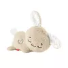 Игрушечный кролик Fisher-Price Soothe & Settle Bunny Photo 7