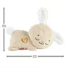 Игрушечный кролик Fisher-Price Soothe & Settle Bunny Photo 10