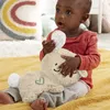 Игрушечный кролик Fisher-Price Soothe & Settle Bunny Photo 11