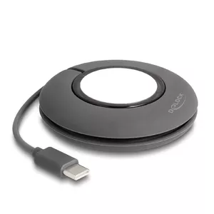 Charging stand DeLOCK 83019 Smart Wearable Accessories Grey White Silicone