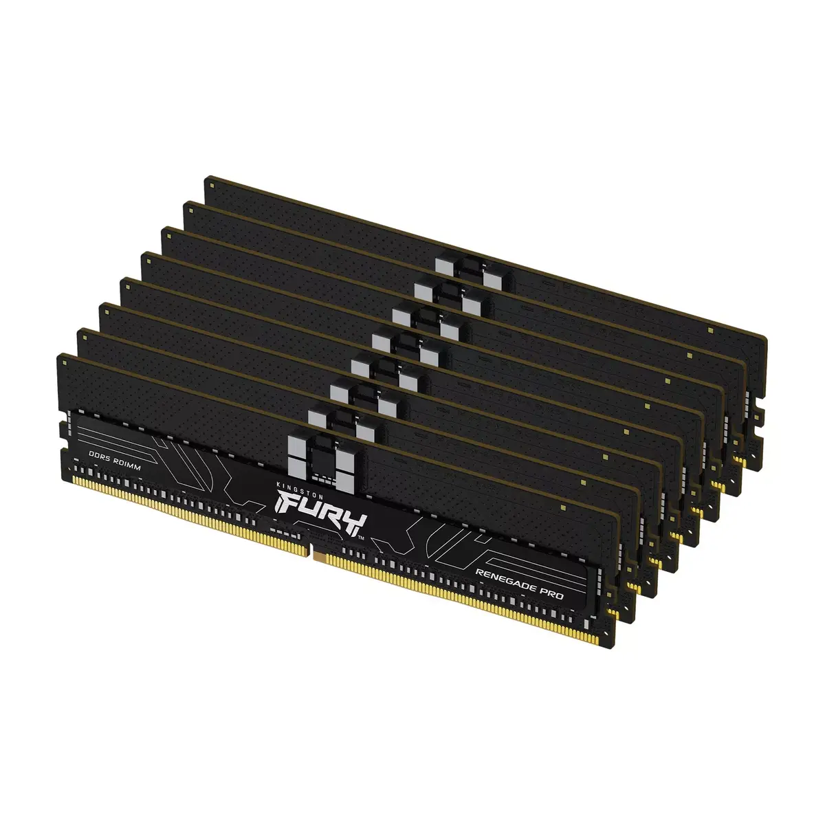 KINGSTON FURY Renegade Pro EXPO 128GB