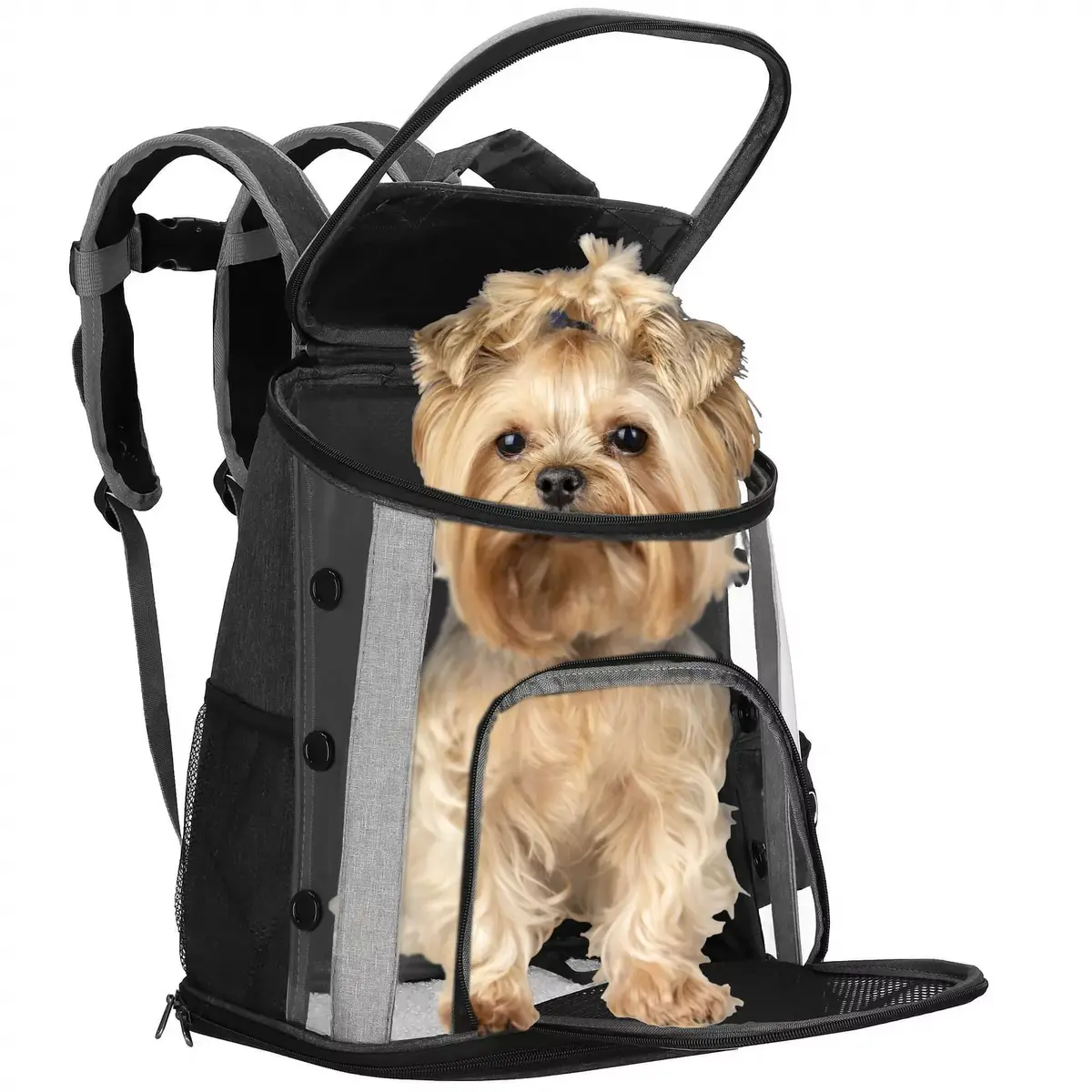 Pet carrier Springos PA0230 38×34×26 cm Photo 8