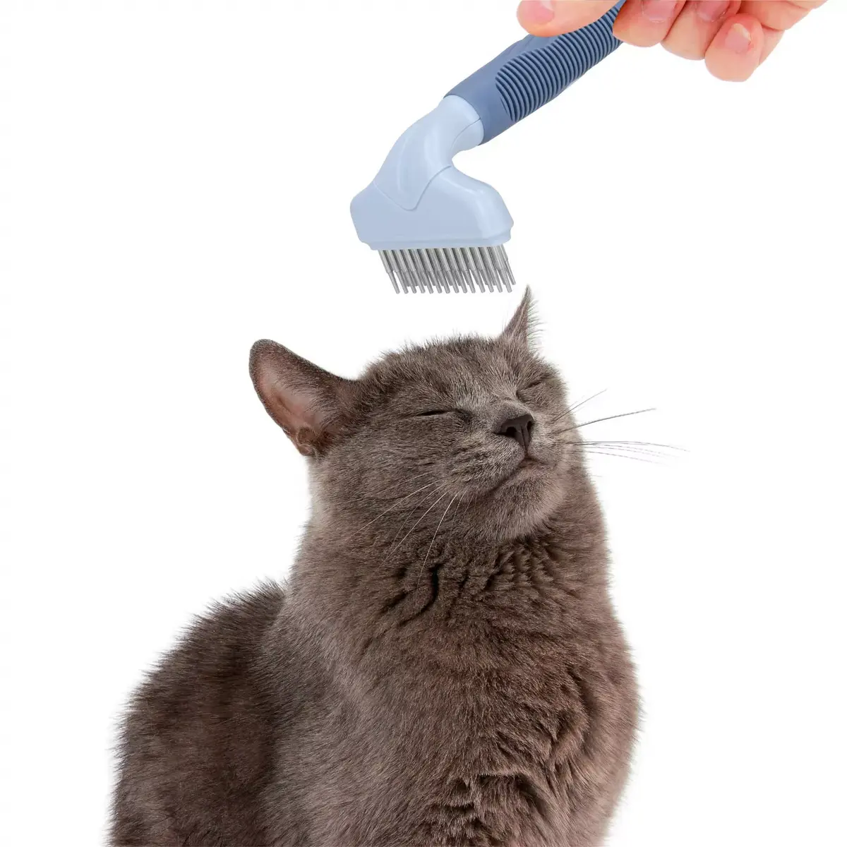 Pet comb Springos PA0261 Photo 5